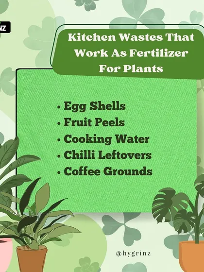 Don't throw away your kitchen scraps. This infographic lists common kitchen wastes like eggshells, fruit peels, and coffee grounds that work as excellent natural fertilizers.