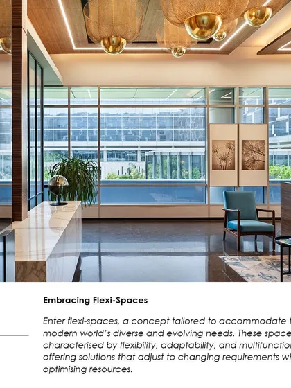 A snippet from the article on embracing flexi-spaces, defining them as adaptable, multi-functional solutions for the modern world's diverse needs.