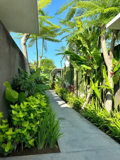 A clean, modern concrete path is flanked by lush greenery in a narrow residential corridor. This design brings life and a sense of nature to the functional spaces between buildings.
