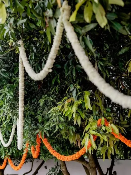 Even the trees were part of the decor. We draped them in marigold and jasmine garlands for this beautiful outdoor Haldi ceremony.