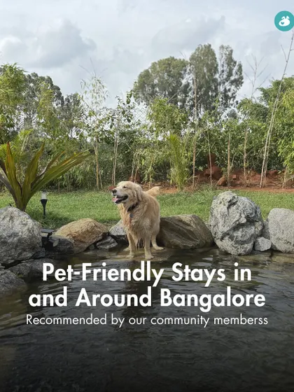 Planning a weekend getaway from Bangalore? Here is a list of pet-friendly stays recommended by our community members.