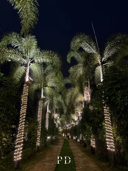 A simple yet incredibly romantic pathway to forever. We wrapped the tree trunks along this walkway with fairy lights, creating a magical, glowing path for an evening event.