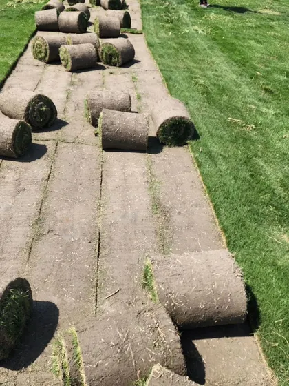 A close-up of our turf rolls, showing the healthy green grass and rich soil.