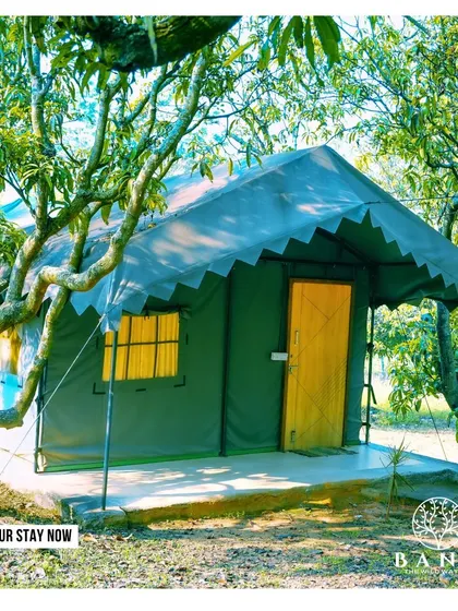 A clear, bright shot of the Swiss cottage exterior, perfect for guests who want to see their accommodation.