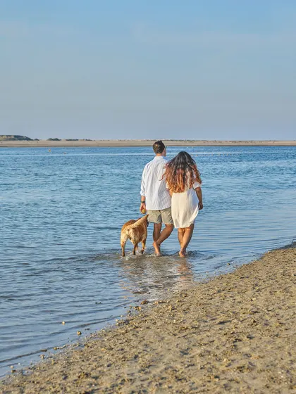 A couple and their dog walking into the water at a beautiful beach in Dubai, a perfect setting for a maternity announcement.