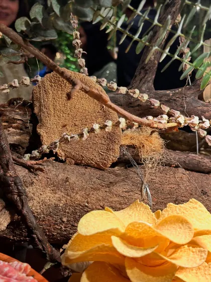 A detail from our signature grazing spread, where natural elements like wood and dried branches are part of the presentation.