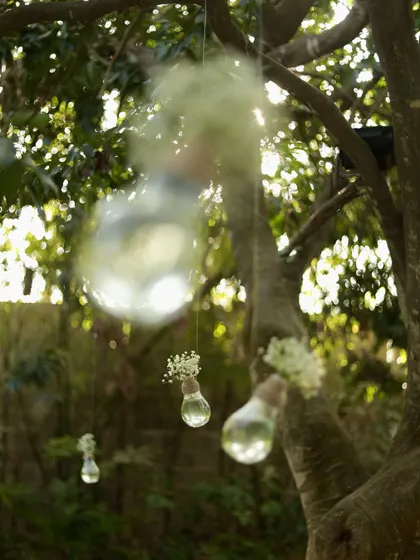 An abstract, dreamy shot of small flowers in glass bulbs hanging from a tree, creating a magical, bokeh effect.
