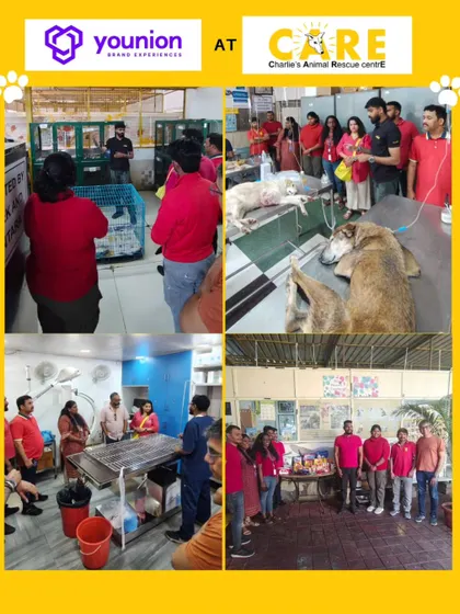 We are grateful to the team from Younion for visiting our shelter and supporting the work we do. This collage shows them touring our facility and donating essential supplies.