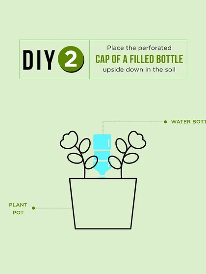 DIY watering hack 2: Place the perforated cap of a filled bottle upside down in the soil. It's an easy and effective slow-drip irrigation system.