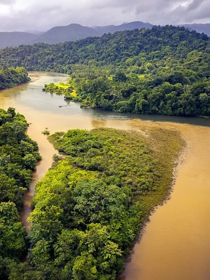 The Sharavathi River flowing through the dense monsoon forests of the Western Ghats. The muddy water indicates the strength of the seasonal rains.