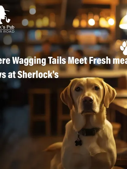 Where wagging tails meet fresh meals. I'm proud to be a pet-friendly pub where you can dine with your four-legged family members.