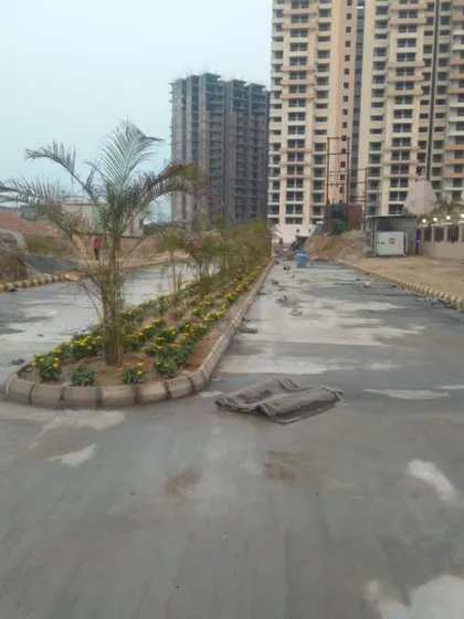 A work-in-progress shot of a roadside median planting. Even with limited space, we can add significant greenery and color to urban environments.