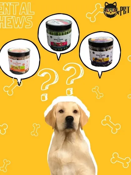 Dental health is crucial for your dog's overall well-being. We offer a variety of dental chews, like these from Goofy Tails, to help reduce plaque and tartar buildup.