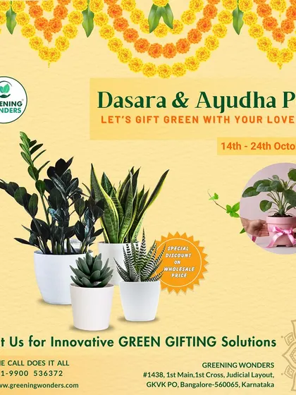 A simple and elegant gifting option for Dasara & Ayudha Pooja, featuring popular indoor plants like ZZ and Snake Plant.