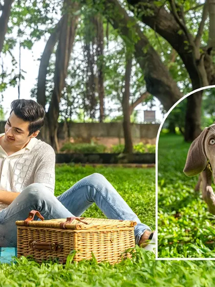 A collage from Draco's shoot, showing his goofy side. From the "pancake face" to his intense stare, his personality shines through in every photo.