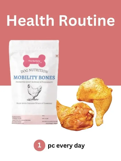 A simple and effective health routine. Just one of my Mobility Bones every day can help reduce inflammation and joint pains, while also promoting better dental health by removing plaque and tartar.