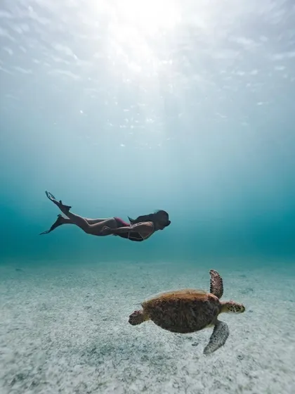 Freediving in Aruba allows for incredible encounters like this one. My underwater photography captures the magic of marine life, a unique offering for coastal resorts looking to highlight their natural surroundings.