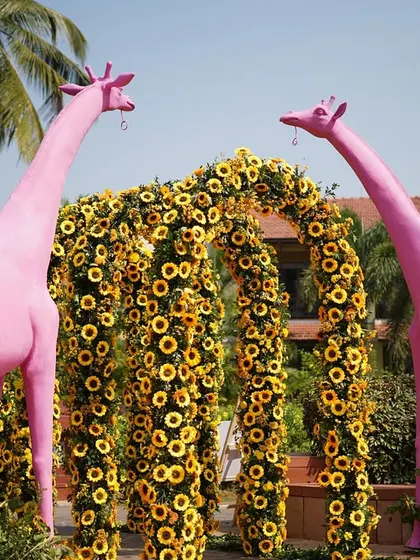To bring a touch of playful wonder to a Haldi, I designed this entrance with a lush sunflower arch flanked by two surreal, life-sized pink giraffes. It was a whimsical statement that set a joyful tone for the celebration.