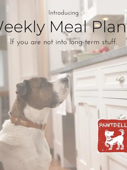 Not ready for a long-term commitment? No problem. We listened to your feedback and introduced Weekly Meal Plans, so you can give fresh food a try for a week of bliss.