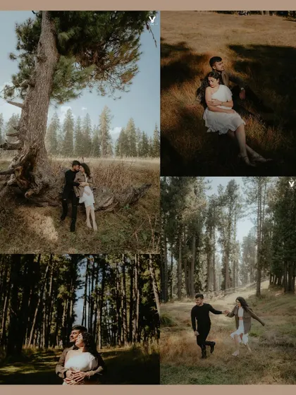 A four-panel collage from a pre-wedding shoot in a forest, showing the couple in various poses: resting by a tree, walking hand-in-hand, and sharing intimate moments in the woods.