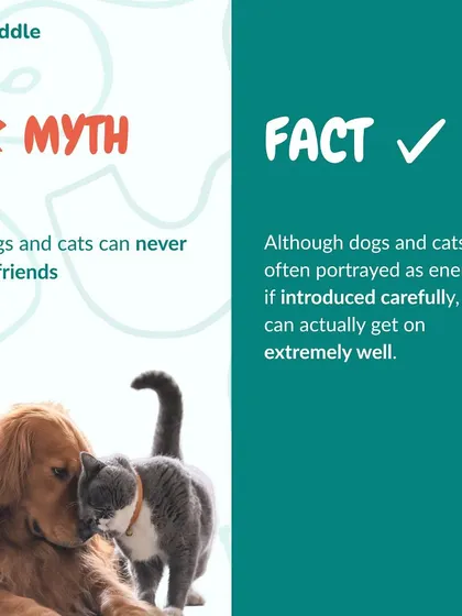 Myth: Dogs and cats can never be friends. Fact: With careful and slow introductions, dogs and cats can form strong, friendly bonds and live together peacefully.