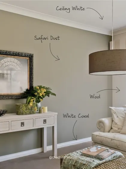A simple yet effective color combination. The wall in 'Safari Dust' provides a warm, neutral backdrop, while the 'White Coral' trim and white ceiling create a crisp, clean contrast, allowing the furniture and decor to stand out.