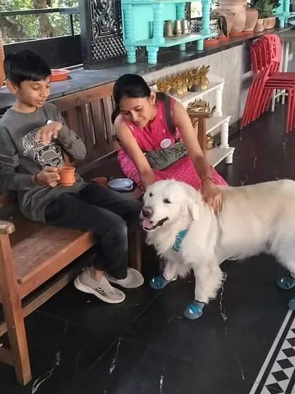 I was honored to speak at a Rotary Bangalore event about how dogs can be a part of therapy and mental health initiatives. My dog Coco was a perfect gentleman, charming the crowd and demonstrating the calm temperament of a great therapy dog.