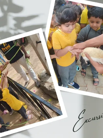 A group of children work together to feed grass to the animals, while another child has a careful, guided interaction with a small creature.