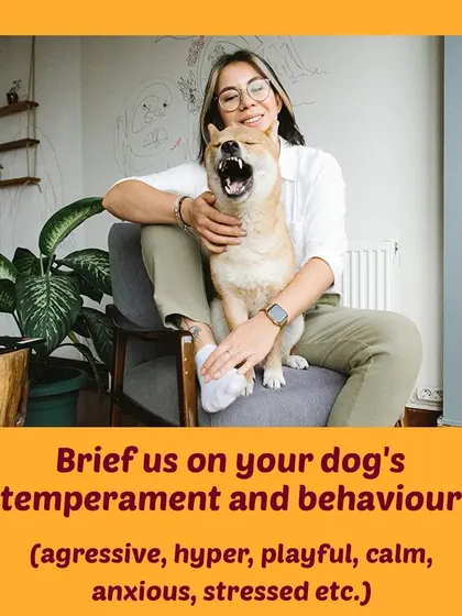 Tip 2: Let us know about your dog's temperament. Whether they are anxious, playful, or a bit grumpy, this information helps us tailor our approach to make them comfortable.
