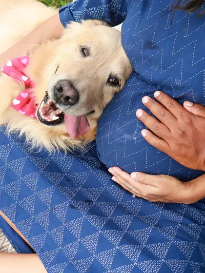 A close-up of pure contentment. This fluffy golden retriever snuggling up to the baby bump shows just how intuitive and loving our pets can be. He already knows he's a big brother.
