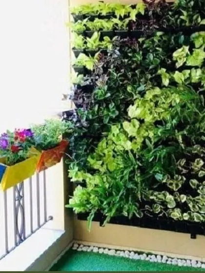 This vertical garden was installed on a small apartment balcony. It shows how even a narrow space can be transformed into a lush green corner with a wall-mounted planter system.