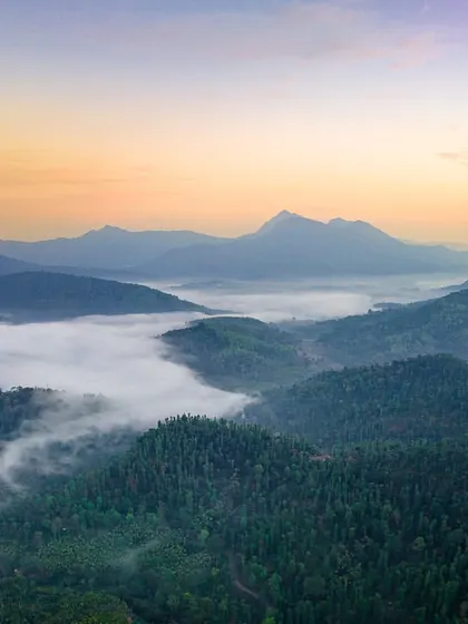 A misty morning in the Western Ghats near Hosanagara. A sea of clouds fills the valley, with the peaks of distant mountains rising above.