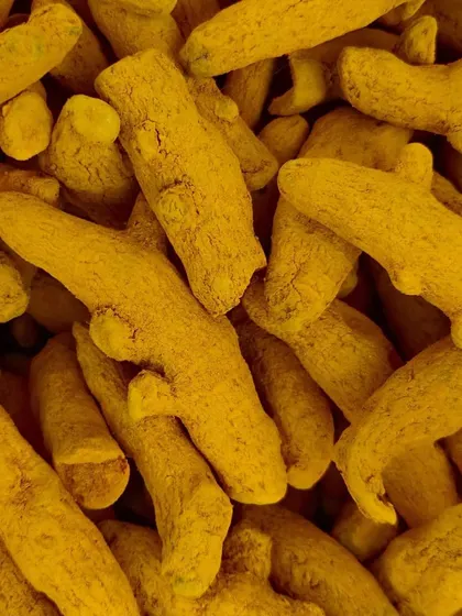 Fresh, dried turmeric root. The quality of the spices makes all the difference in the final taste of the pickle.