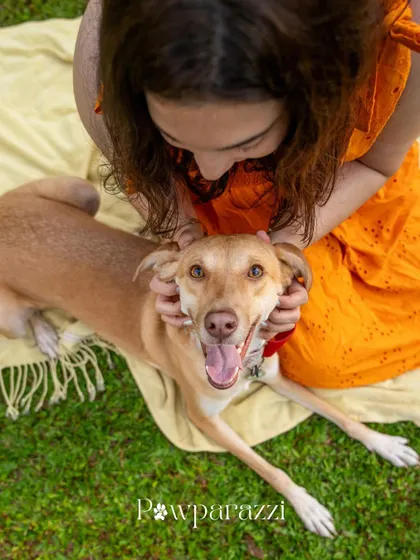 Another shot of Noor and her mom, this time with Noor showing off her playful side. Adoption gives these dogs the chance to truly be themselves.