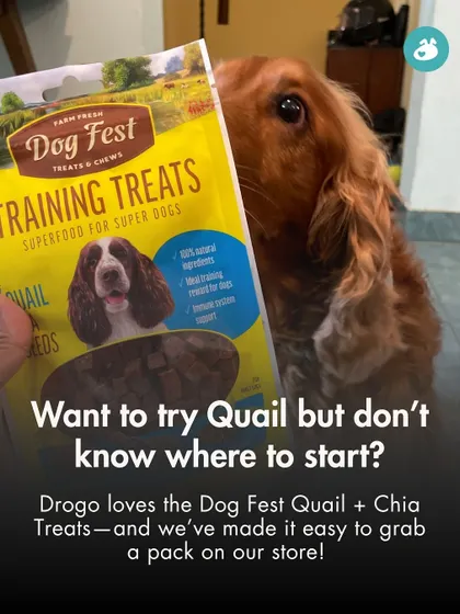 Curious about adding Quail to your dog's diet? These Dog Fest Quail + Chia Treats are a great place to start. They are a natural and nutritious training reward that my own dog, Drogo, absolutely loves.