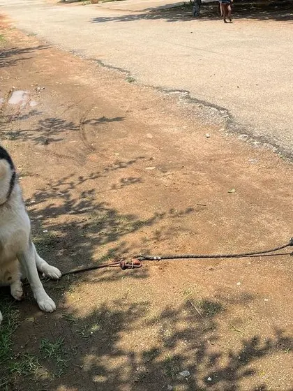 Resting by the side of the road. I make sure we have plenty of breaks for water and rest during our walks.