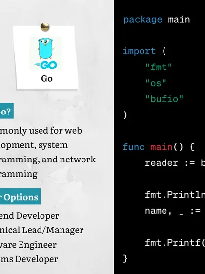 Go is another powerful language we cover, commonly used for web development and system programming. We show how its efficiency makes it a great choice for backend developers and software engineers.
