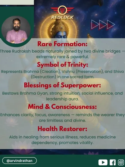The Trijuti Rudraksha is a rare formation of three naturally joined beads, representing the Hindu trinity. It bestows strong intuition, social influence, and enhances clarity, focus, and awareness. It is also known to aid in healing.