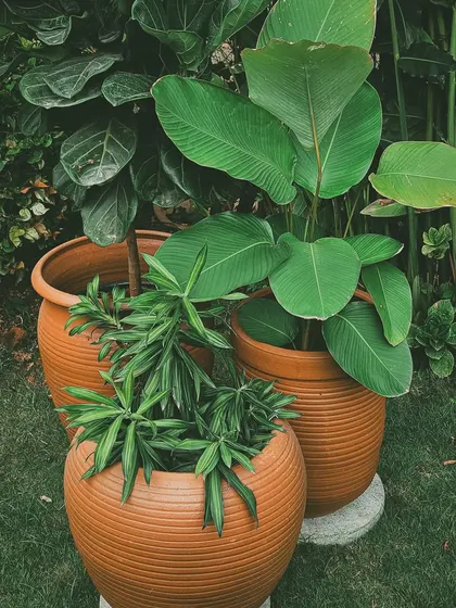 A beautiful grouping of terracotta pots, showcasing how different sizes and shapes can be clustered together to create a dynamic and natural-looking arrangement in your garden.