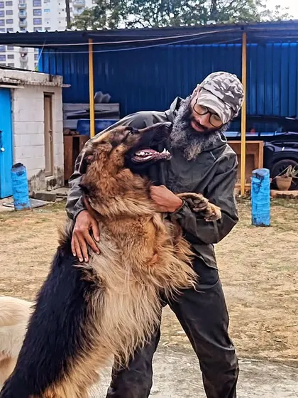 Getting a big hug from this gentle giant. Every pet that comes here is family, and we make sure they get all the one on one affection they need.