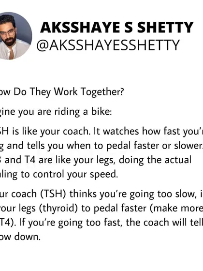 How do thyroid hormones work together? Think of TSH as your coach and T3/T4 as your legs on a bike. The coach (TSH) tells your legs (thyroid) to pedal faster or slower to control your speed (metabolism).