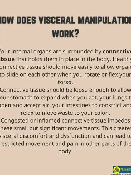 This explains how Visceral Manipulation works by releasing restrictions in the connective tissue surrounding your organs, which can relieve pain in other parts of the body.