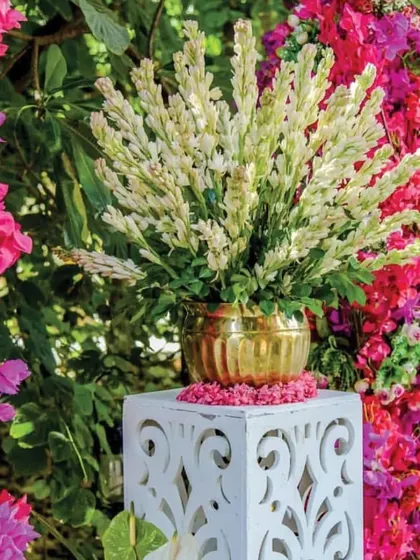 A close-up of a brass vase with white flowers, set against a vibrant wall of pink bougainvillea, showcasing the blend of traditional and natural elements.