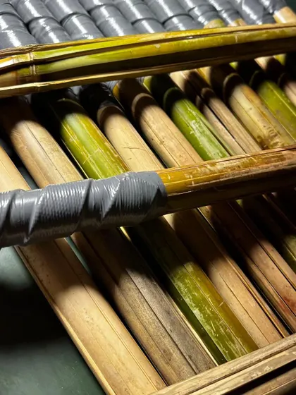 More detail of the bamboo clatter sticks during production. I make these myself to ensure they meet the standards required for serious dog sports.