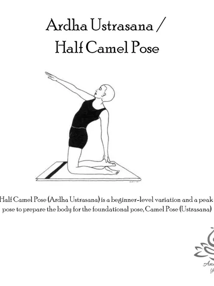 Ardha Ustrasana (Half Camel Pose) relieves backache and drooping shoulders, stimulates the thyroid gland, and improves posture and digestion.