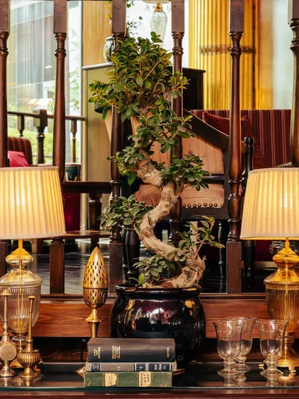 Enter a realm of opulence and regality. This corner, with its vintage lamps and bonsai, is an extravagant fusion of sophistication and majestic decor.