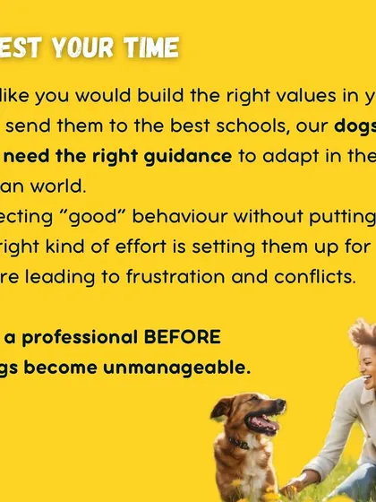Many of us say we treat our dogs like family, but what does that really mean? This series of posts breaks it down. It's about respecting their species-specific needs, understanding their unique language, setting healthy boundaries, and prioritizing their emotional well-being above all else.