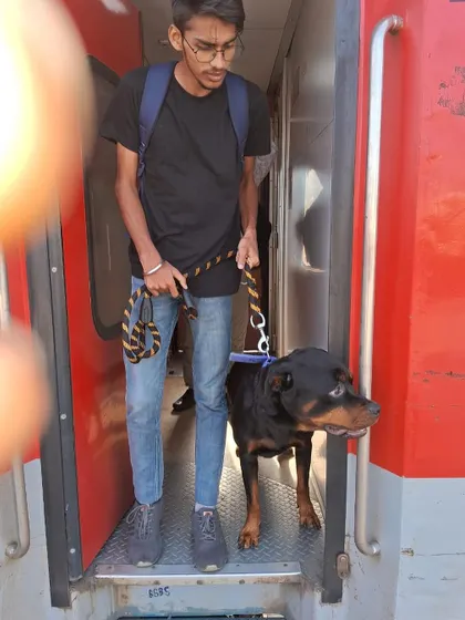 Safely disembarking from the train. I handle the pet carefully during the busy moments of getting on and off the train.
