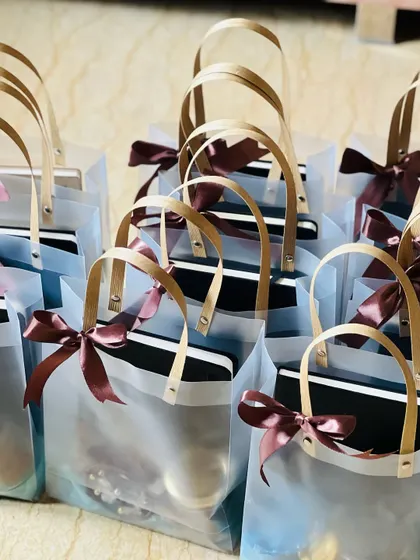 A set of modern, translucent gift bags with sturdy handles and a simple ribbon, offering a chic and contemporary packaging option.