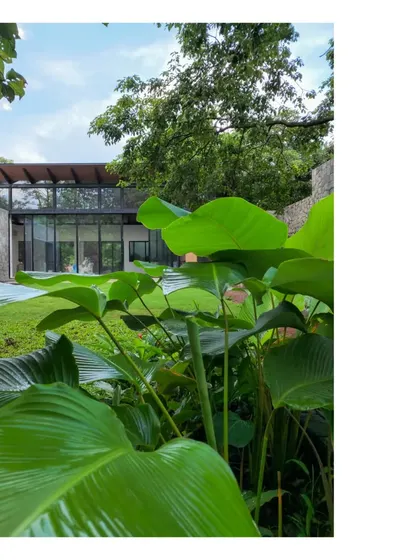 Another view of the Villa in a Grove, where large plants frame the view of the house and pool. The design prioritizes the natural landscape, with the building acting as a quiet observer.
